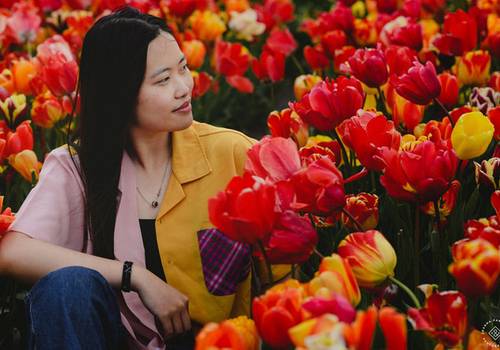 Best Time to See Tulips in The Netherlands: Keukenhof & Tulip Gardens