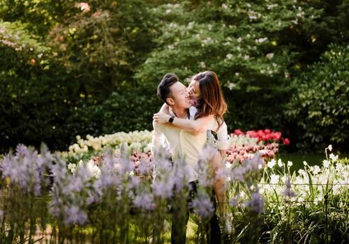 Choose Gardens, Not Fields: How Tulips Are Protected and Why It Matters for Your Photos