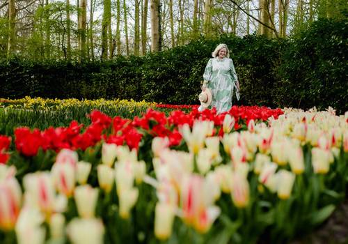 What Keukenhof Looks Like on Opening Day
And why March in the Netherlands is still a beautiful choice