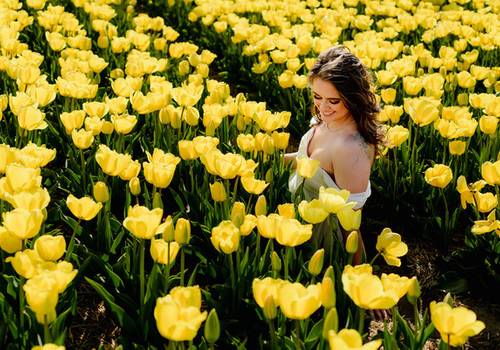 Tulip Season in the Netherlands: What You Need to Know Before Planning a Photo Session