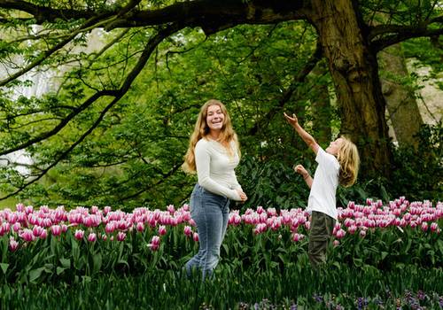 How Image Usage Works: Personal, Social Media, and Advertising Explained