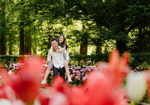 Do Tulips Only Bloom in Mid-April? How Keukenhof Extends the Season