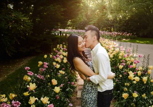 Tulip Season in the Netherlands: Full Bloom Guide (2026)