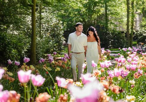 Is May Too Late for Keukenhof? What the Gardens Really Look Like in Early May