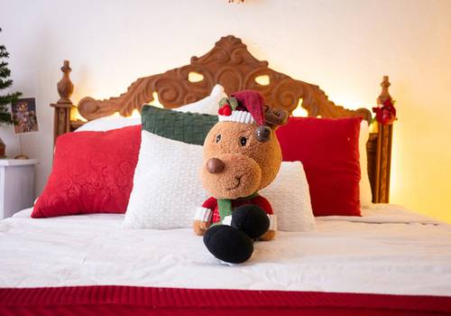 Fotografias: o Presente de Natal que Dura para Sempre