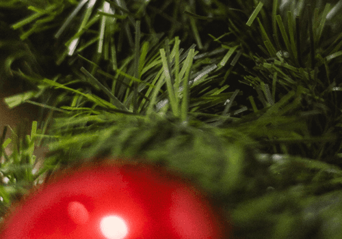 Ensaio de natal em casa vs estúdio. Qual o melhor?