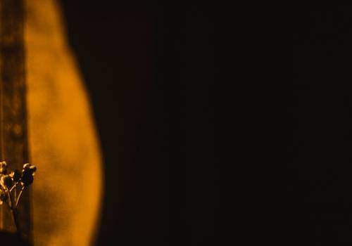 O instante que respira: por que escolhi fotografar assim