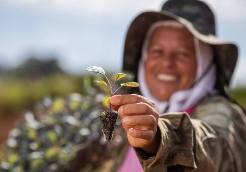 📸 Por dentro do maior banco de imagens do agro brasileiro