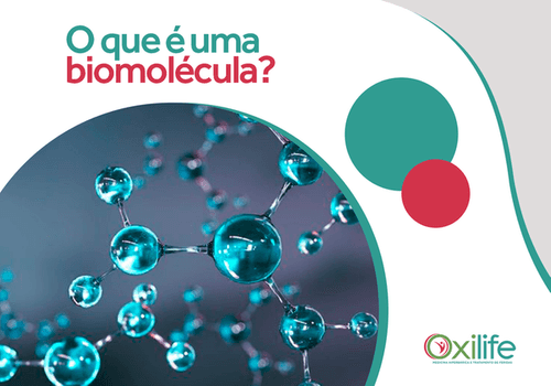 O que é uma biomolécula?
