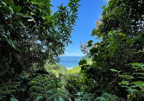 Itaquitanduva - Parque Xixová-Japuí 