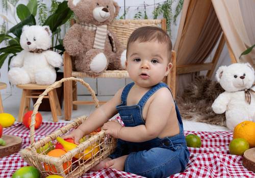 O desenvolvimento primeiro ano de vida  