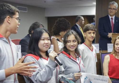 Ouvidoria leva Campanha do Laço Branco ao Conselho Pleno da OABRJ