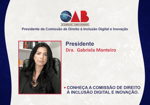 Comissão de Direito à Inclusão Digital e Inovação