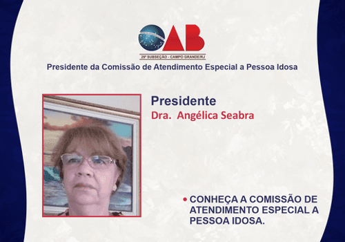 Comissão de Atendimento Especial a Pessoa Idosa