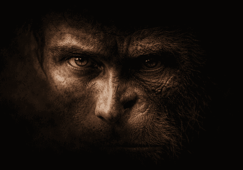 O recalque orgânico: o que se perdeu quando nos erguemos