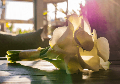 Como escolher o buquê da noiva perfeito: flores para cada estação e horário do casamento