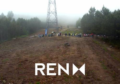 Institucional de REN - Laranja de Ermelo, Reportagem