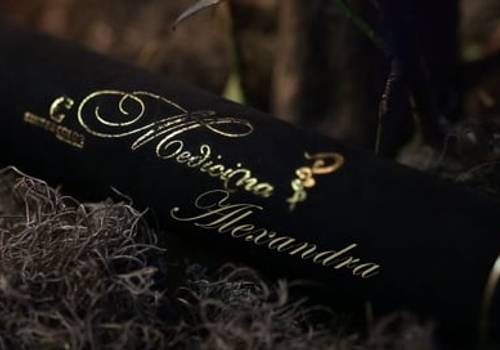 Realize Films de Coquetel Medicina - Alexandra