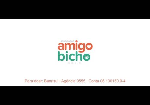 INSTITUCIONAL de Campanha de Natal Amigo Bicho : : Não compre, adote!
