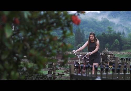 15 Anos de Ensaio | 15 anos Leticia