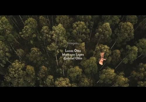 EVENTOS de PERSEGUINDO FOTOGRAFIAS VERDADEIRAS // ABRIL 2019