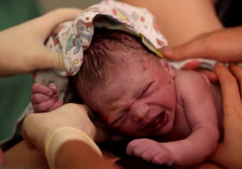 Partos /Nascimentos de Parto Humanizado Hospital Modelo- Raquel - Nascimento do Felipe