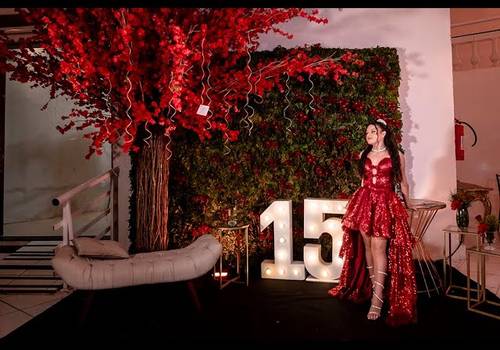 Debutante de Filme completo 15 anos Brigida