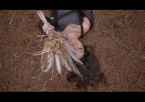 Ensaios de Bárbara | Ensaio 15 Anos