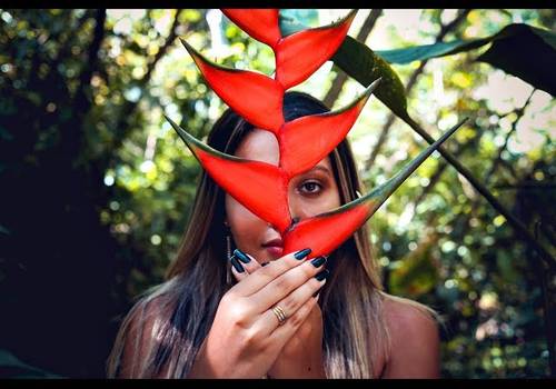 Slideshow de Portfólio - 15 anos