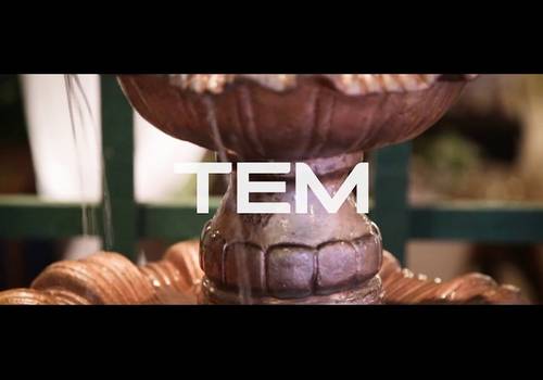 Institucionais de Revista TEM