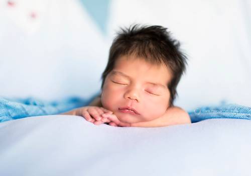 New Born de Alexander