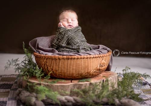 New Born de Alejo 12 Días