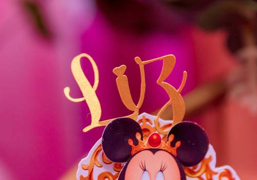 EVENTOS de LIZ - 2 ANOS
