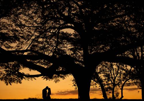 PRÉ WEDDING de Carol e Otávio