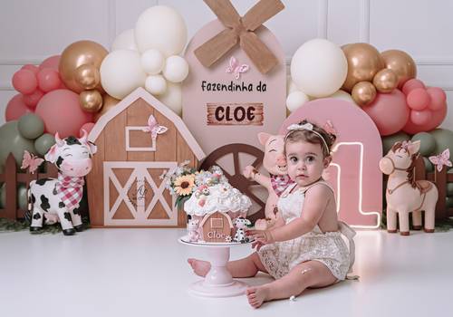 Smash The Cake de Smash The Cake Fazendinha Rosa 