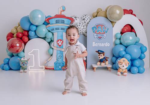 Smash The Cake de Smash the Cake Patrulha Canina 