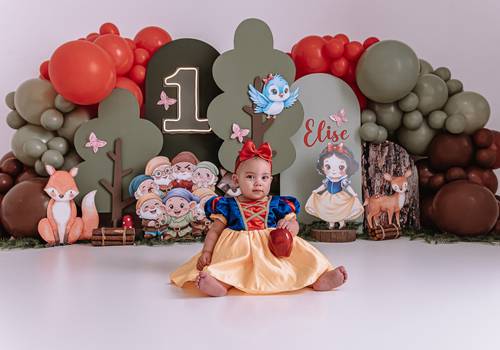 Smash The Cake de Smash the Cake Branca de Neve 