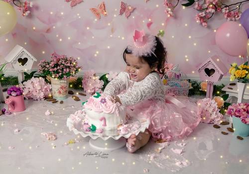 Smash The Cake de Smash The Cake Alice