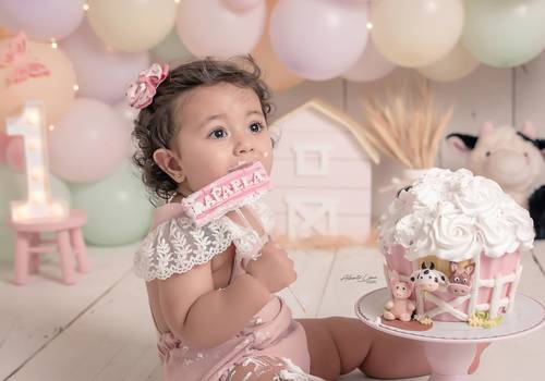 Smash The Cake de Smash The Cake Fazendinha Rosa - Rafaela