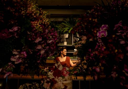 Aniversário de Aniversario Mayara Cayres