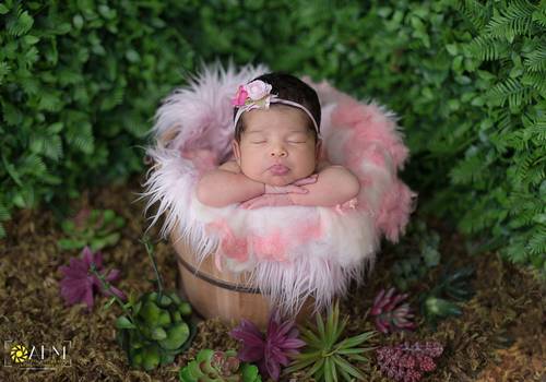 Newborn de Lívia - 12 Dias