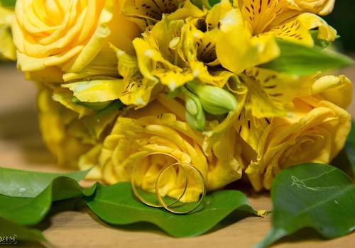 Casamento de Ezequias e Dara