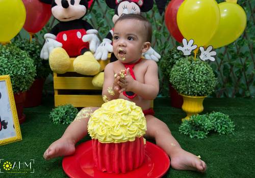 Acompanhamento Infantil de Ales Raphael - 11º Mês