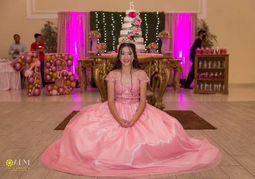 Aniversário 15 Anos de 15 Anos Sophia 