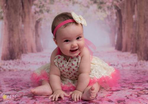 Acompanhamento Infantil de Elena - 9º Mês