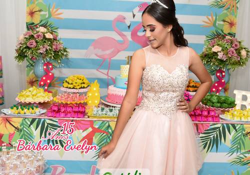 15 Anos - Festa de 15 Anos de Bárbara Evelyn