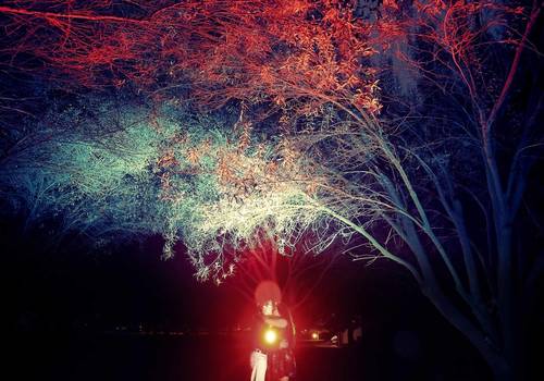 Pre Boda de El amor en los tiempos del Internet, Oma & Silvia