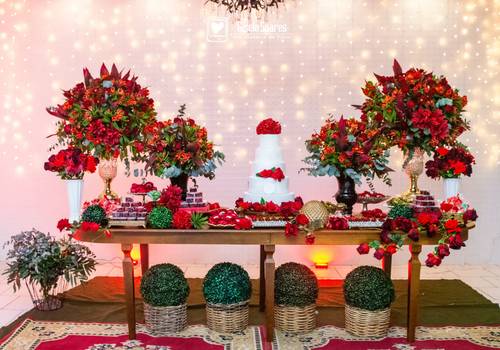 15 Anos de Amanda - 15 anos