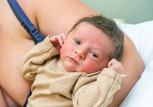 Nascimentos de O nascimento do Bento