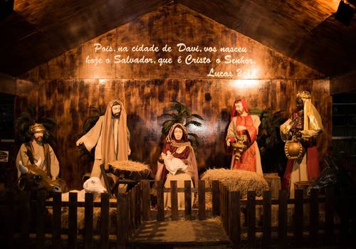 Momentos em Família de Natal Luz - Carol Maranhão e Família